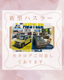 ★新型ハスラー★